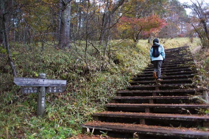 木道の階段