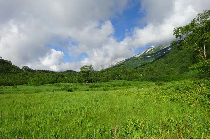 栂池自然園