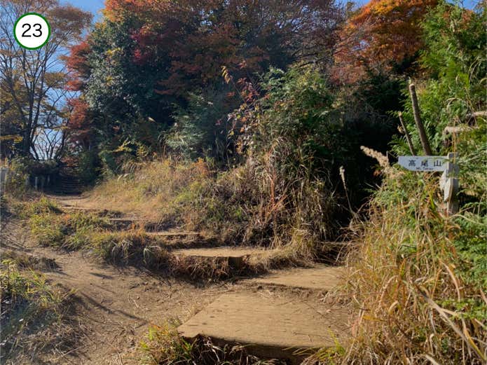 山頂直下の分岐
