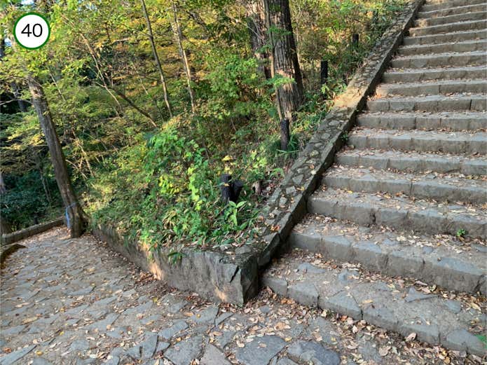 山頂直下の石段