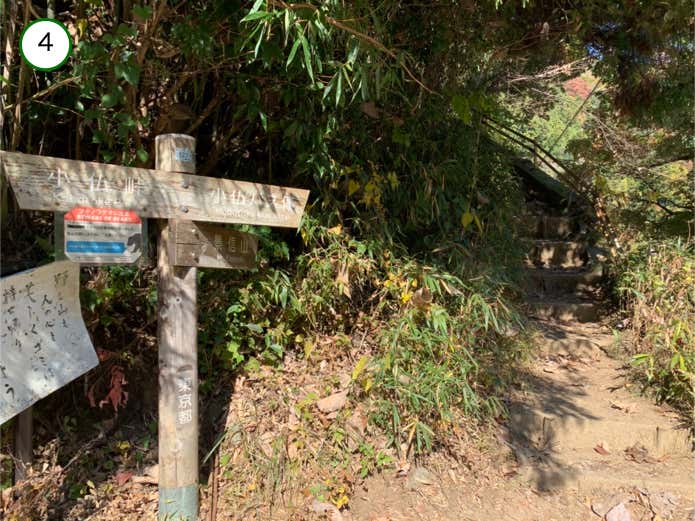 景信山登山口
