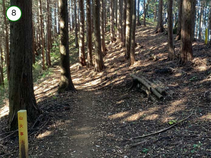 巻道その3