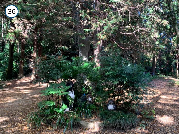 タヌキ像の左手へ登ります