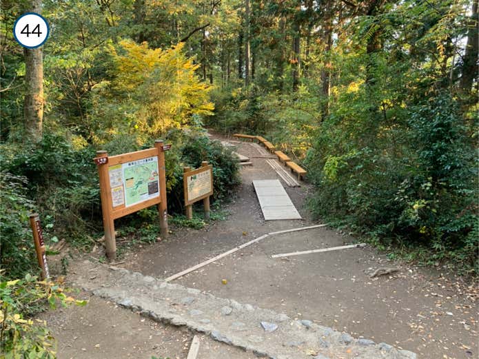 5号路と合流