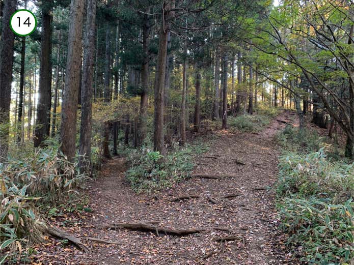 巻道その6