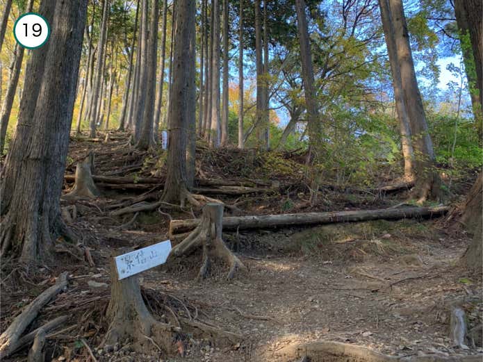 巻道との分岐