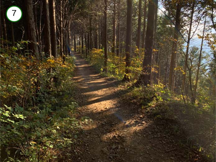 平坦な登山道