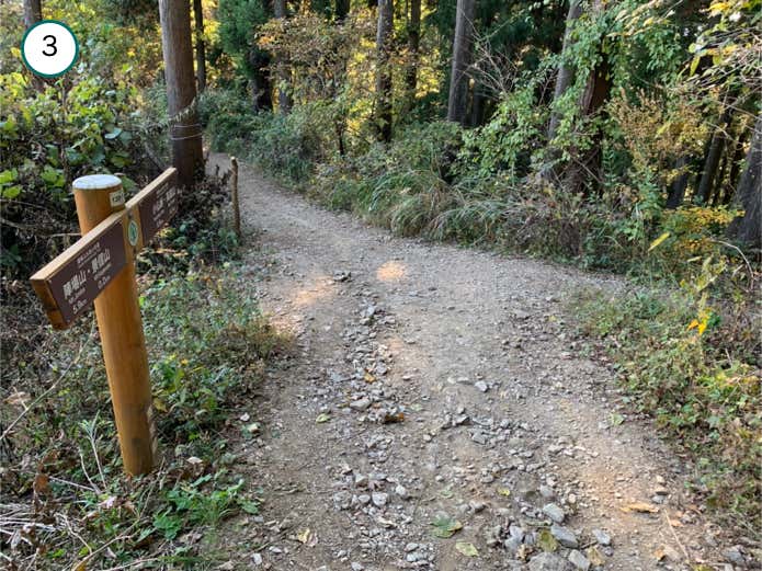 巻道との合流地点