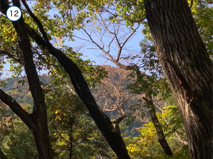 景信山の眺望
