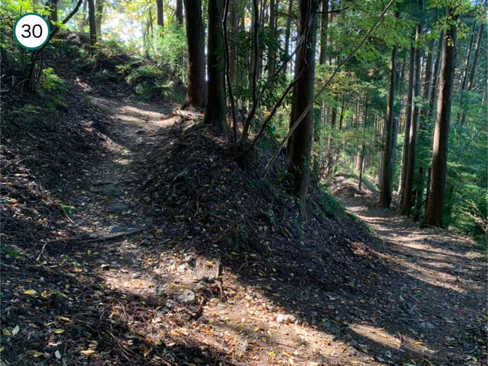 再びジグザグの登り区間