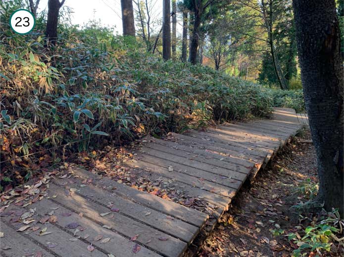 城山からの下り