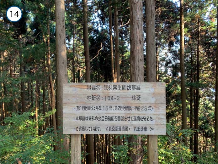 間伐事業の看板