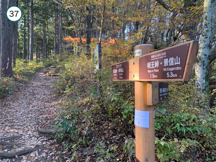 巻道との分岐