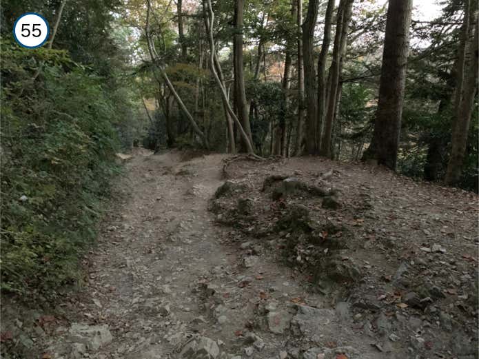露岩帯の登山道