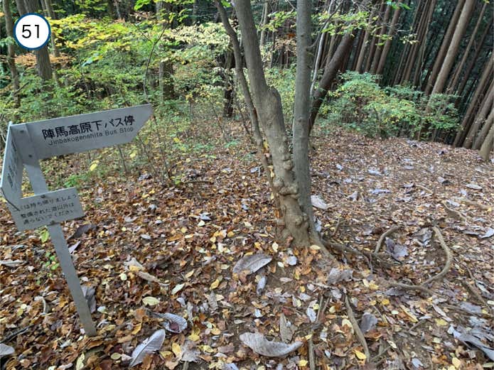 登山道が右折