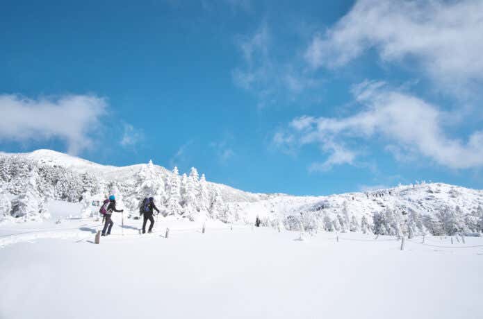 樹林帯　登山