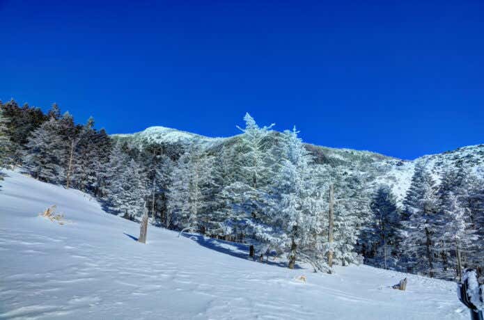 北八ヶ岳の雪景色