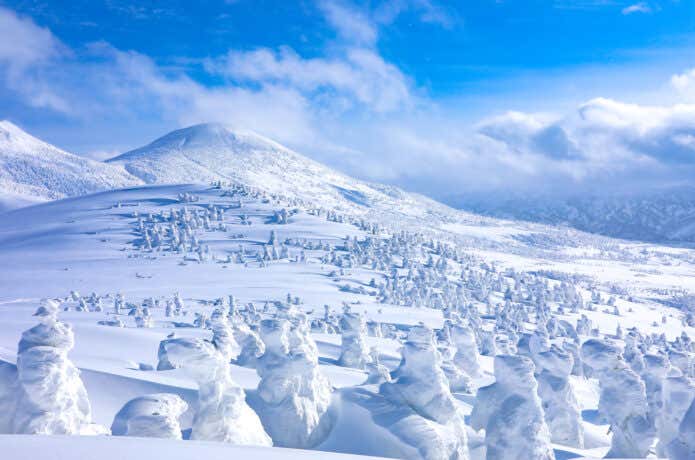 八甲田山の雪景色
