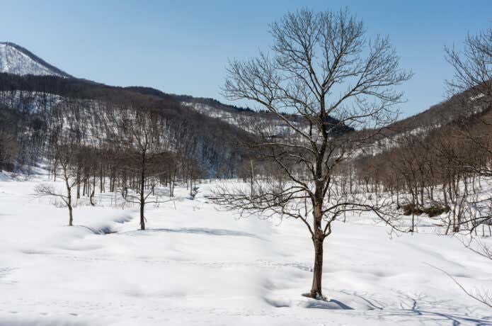 斑尾高原の雪景色
