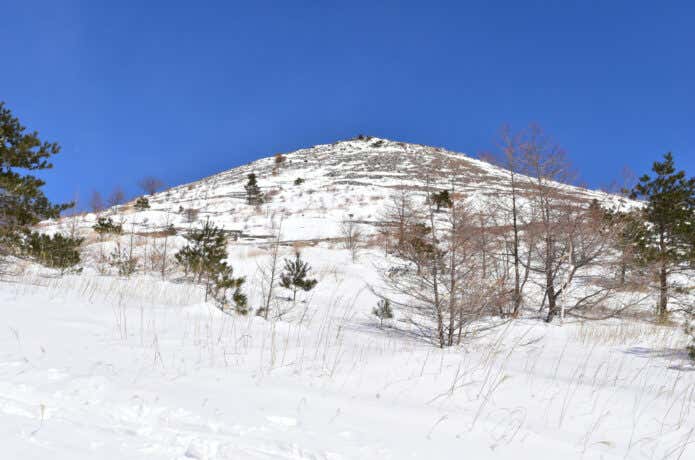 軽井沢の雪景色