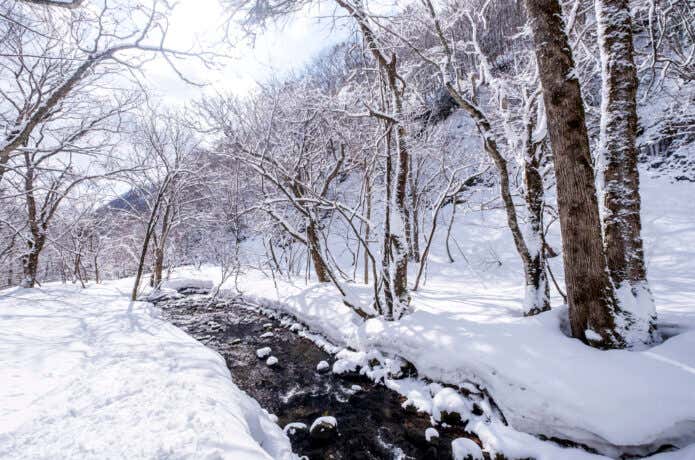 大山の雪景色