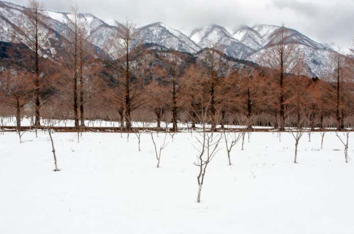 比良山系の雪景色