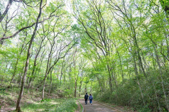 国営武蔵丘陵森林公園