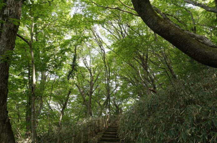 筑波山の自然研究路