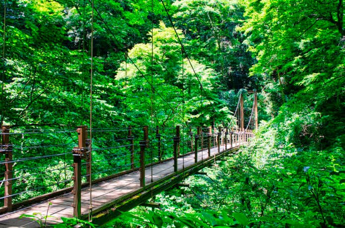高尾山4号路
