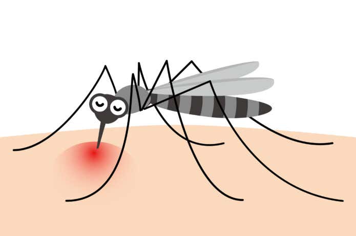 虫刺されに対するポイズンリムーバーの研究報告はないのが現状