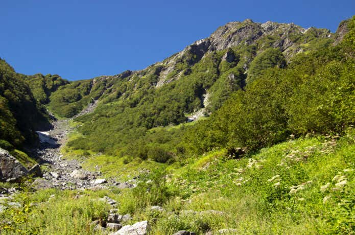 北岳　大樺沢上部