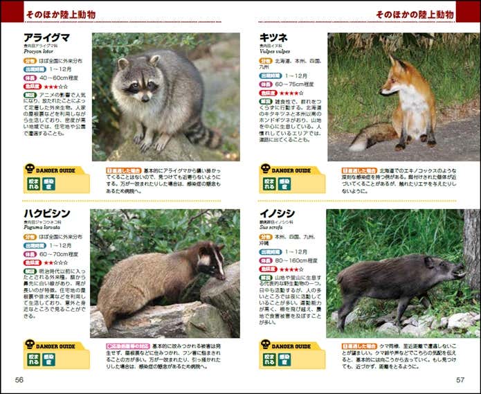 危険な陸上動物