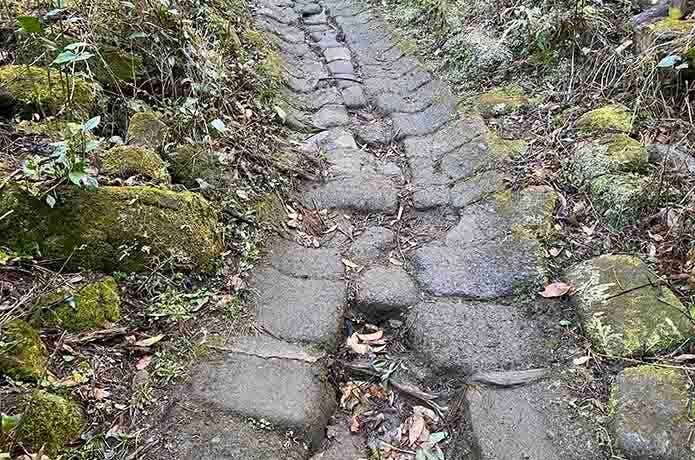鋸山の車力道コースの登山道