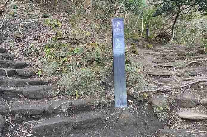 鋸山車力道コースの猫丁場への分岐