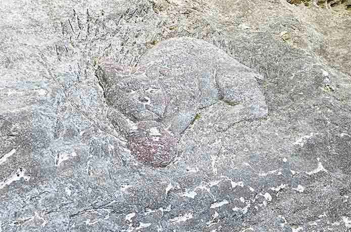 鋸山の猫丁場