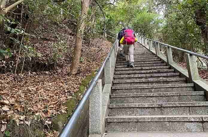 鋸山日本寺の十州一覧台への階段
