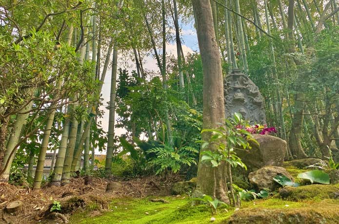 報国寺の竹林