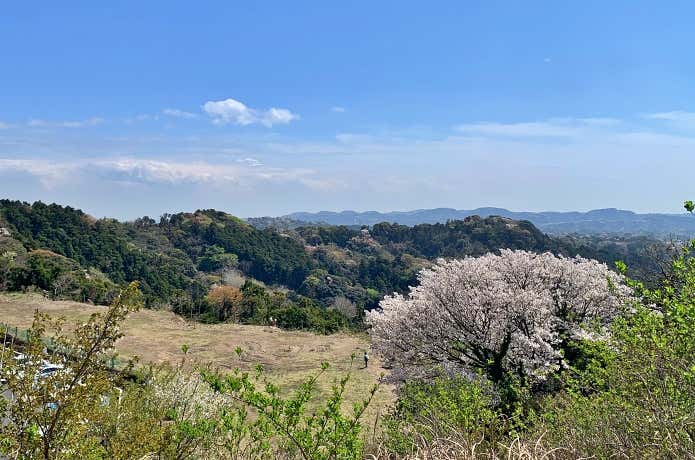 鎌倉市最高所・大平山からの眺望