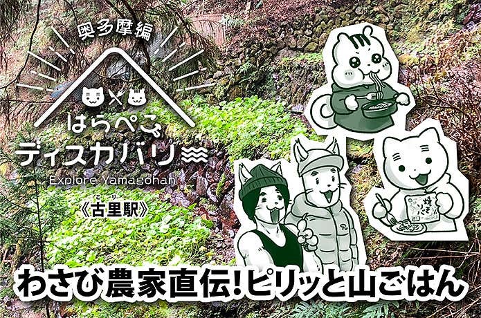 はらぺこディスカバリー