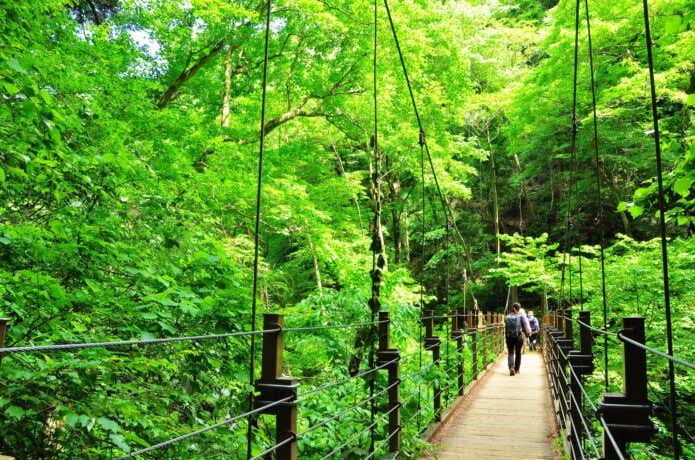 山の中を歩く人