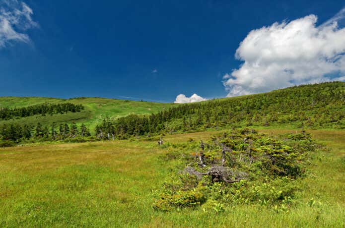 平ヶ岳　山頂