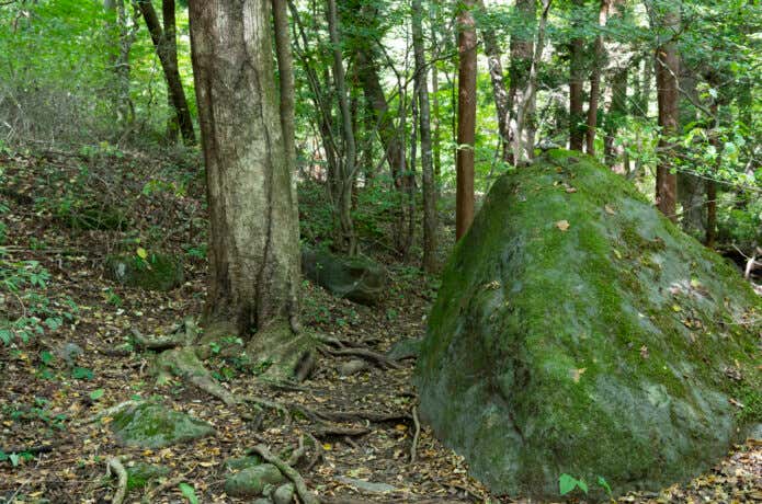 登山中に用を足すときの隠れ場所イメージ