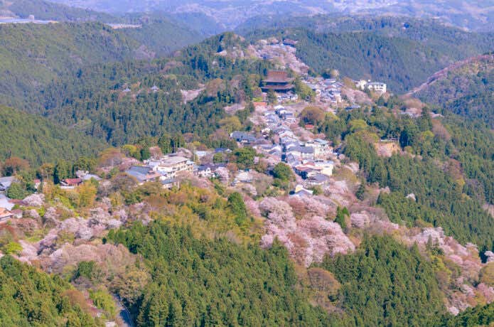 吉野山|絶景の桜を見に行こう!登山コースとグルメ情報紹介