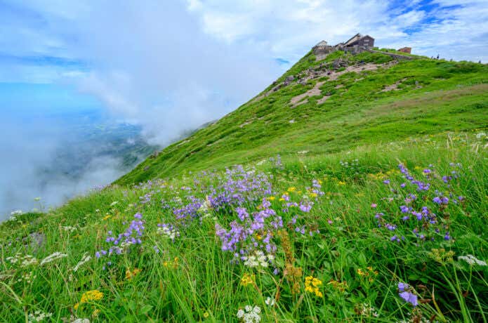 月山