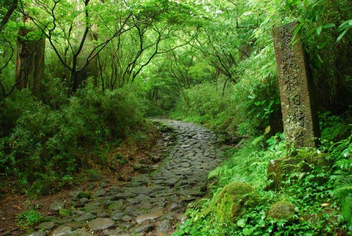 箱根旧街道石畳