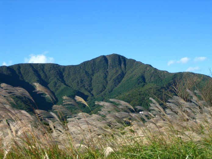 麓から見上げた金時山