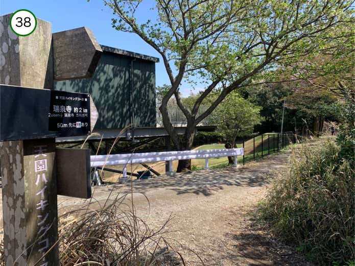 大平山から出発