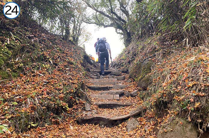 金時神社登山口合流~金時山 山頂へ続く登山道