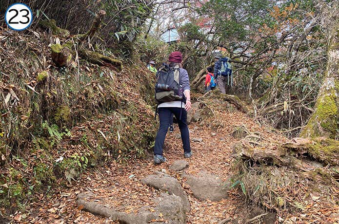 金時神社登山口合流~金時山 山頂近くの登山道