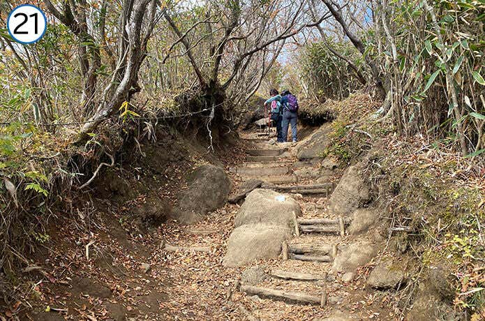 金時神社登山口合流~金時山 石が転がる勾配のある登山道